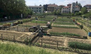 Alba: fino al 30 marzo è possibile chiedere un orto urbano in frazione Mussotto o in viale Cherasca