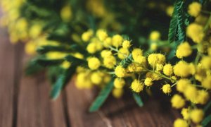 ''Festa della donna, un giorno per ricordare e ragionare sulle discriminazioni, sulle disuguaglianze''