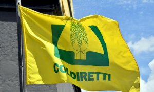 Consumi, Coldiretti: