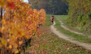 Confartigianato Cuneo, la “Passeggiata gourmet” di marzo è ambientata a Dogliani