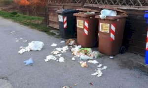Beinette, rifiuti buttati fuori dai cassonetti. L'assessore all'Ambiente: 