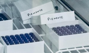 Covid, oggi quasi 11mila nuovi vaccinati in Piemonte