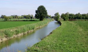 Giornata mondiale dell’acqua, Confagricoltura Piemonte: innovare le reti idriche col Recovery Plan