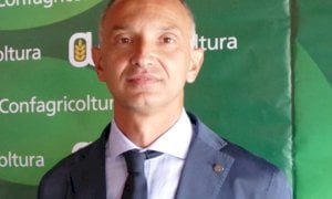 Enrico Allasia eletto presidente nazionale dei produttori di legno di Confagricoltura