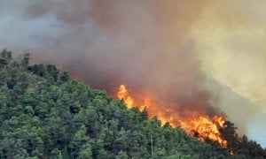Incendi boschivi, la Regione dichiara lo stato di massima pericolosità