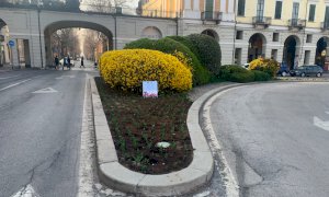 Dal Castello di Pralormo 3 mila bulbi di tulipani per la città di Cuneo