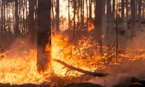 Scatta lo stato di massima pericolosità incendi boschivi