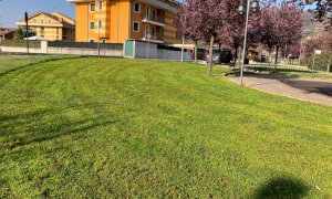Manutenzione di primavera in parchi, giardini e viali comunali di Busca