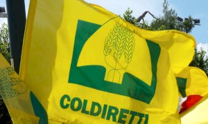 Recovery Plan, Coldiretti Cuneo: 