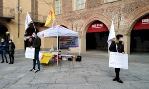 Tigli di corso Colombo a Fossano, i Radicali: 