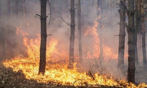 Revocato lo stato di massima pericolosità degli incendi boschivi