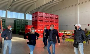 Gelata nei frutteti del Saluzzese, Bongioanni (FdI): “Garantire almeno il 40 per cento delle perdite”