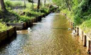 Un appello per conservare la qualità dell’acqua della Granda