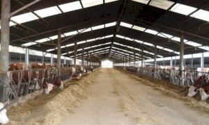Gas serra, Coldiretti Cuneo: 