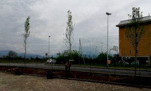 Confreria, l'area attrezzata ha di nuovo i suoi alberi intorno