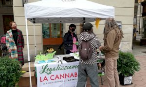 Cannabis terapeutica, i Radicali distribuiscono semi di marijuana davanti al tribunale