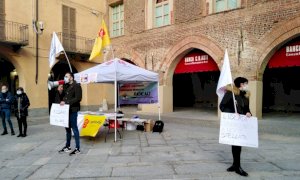 Pd, Radicali e Italia Nostra ricorrono al TAR per salvare i tigli di corso Colombo a Fossano