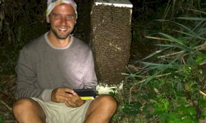 Arnie distrutte, la colletta online per l’apicoltore sfonda quota 53 mila euro 