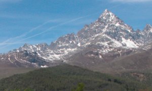 Intorno al Monviso: tre video-incontri online in occasione della Giornata mondiale della biodiversità