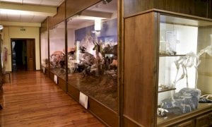 Il Parco del Monviso riapre il Museo naturalistico del fiume Po a Revello