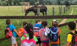 Tutte le iniziative dell'Estate Ragazzi di Busca