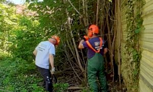 Taglio legna nel Parco Grandis da parte della squadra AIB di Borgo San Dalmazzo