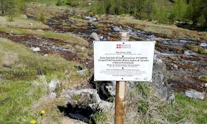 Zona Speciale di Conservazione 