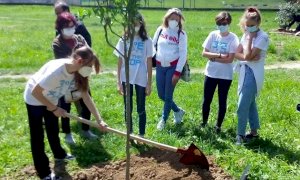 Alba, riqualificazione del parco di San Cassiano: piantumate 20 piante da frutto dagli studenti della Macrino