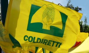 DL Sostegni bis, Coldiretti Cuneo: 