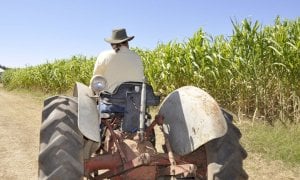 Insulti e minacce per sbarrare la strada ai vicini: a processo un agricoltore di Trinità