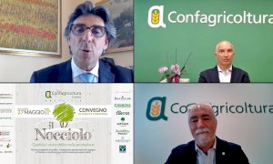 Innovazione, ricerca e sostenibilità per la valorizzazione della nocciola piemontese