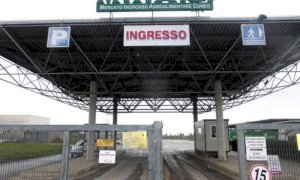 Domenica a Cuneo torna il mercatino dei piccoli animali