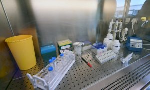 Coronavirus, meno di duecento i nuovi casi in tutto il Piemonte