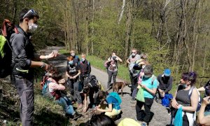 L'Ecomuseo Terra del Castelmagno partecipa alla settimana del paesaggio degli ecomusei italiani