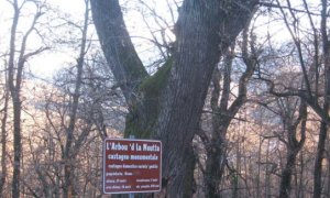 Al via gli eventi estivi del progetto Ecomusei del gusto