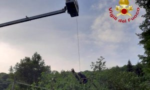Albero su un cavo telefonico a Valloriate, arrivano i pompieri