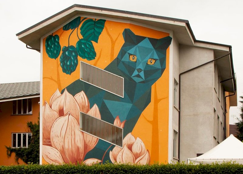 Cuneo, spunta un micio dipinto sulla scuola elementare del San Paolo