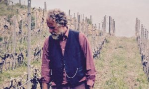 A Cortemilia il paesaggio come teatro e come prodotti di eccellenza