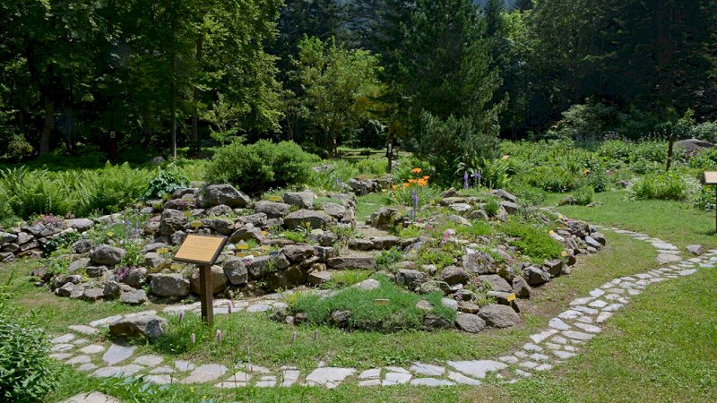 Il giardino botanico Valderia - foto A. Rivelli