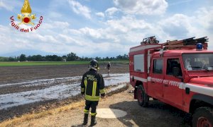 Incendio in un campo tra Tarantasca e Cuneo, sul posto i Vigili del Fuoco