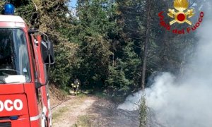 Incendio boschivo a Chiusa Pesio, sul posto i Vigili del Fuoco