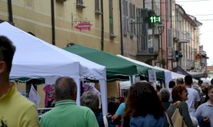 Busca, ultimi preparativi per la 