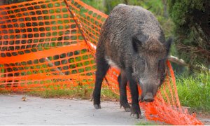 Giovedì prossimo gli agricoltori scenderanno in piazza contro 