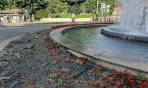 I vandali rovinano la festa dell’Italia a Mondovì: devastate le aiuole alla fontana della Goj