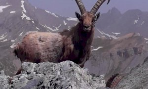 Val Maira, inaugurato un sentiero dedicato a un alpinista ucciso da una valanga