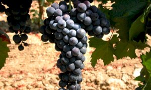 Il centro storico di Alba si prepara alla festa dei 