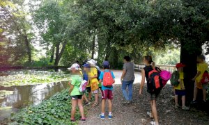 Centri estivi per bambini: il Comune di Busca contribuisce ai costi di chi li organizza