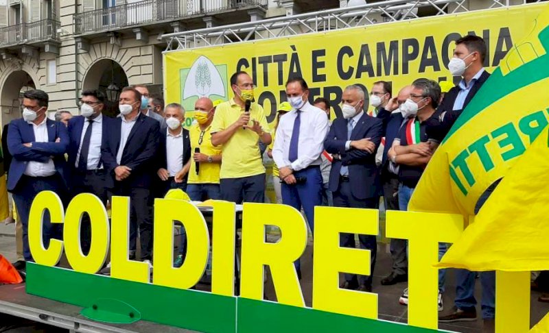PD e Fratelli d'Italia in piazza a braccetto per chiedere il contenimento dei cinghiali (c'è pure Cirio)