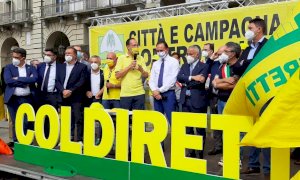 PD e Fratelli d'Italia in piazza a braccetto per chiedere il contenimento dei cinghiali (c'è pure Cirio)