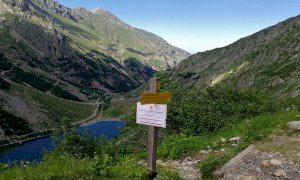 L'appello del Parco Alpi Marittime: 